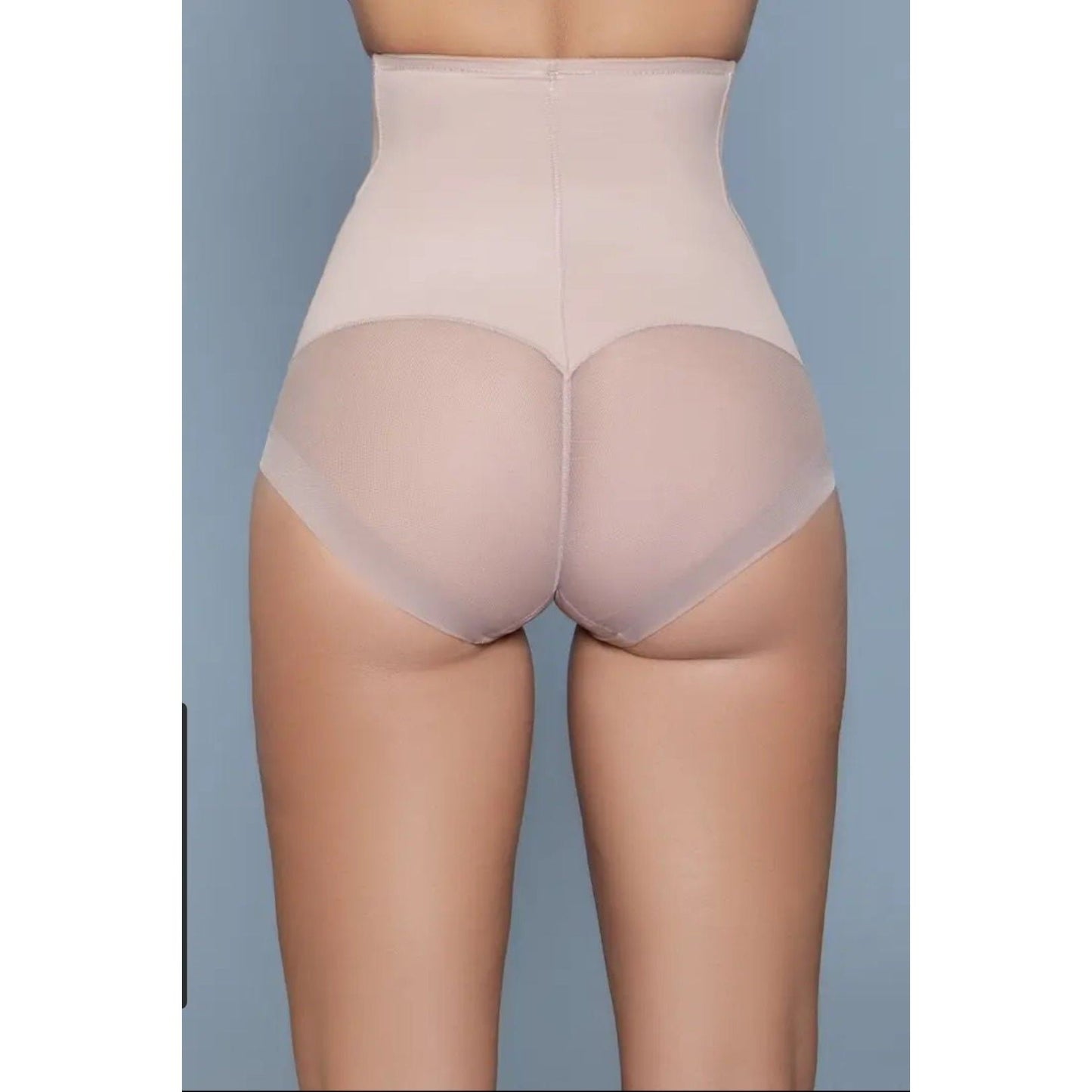 Shapewear Panty Brief - What A Diva Wears